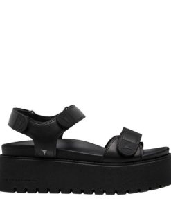 Threadary.shop1dc65695f7 1