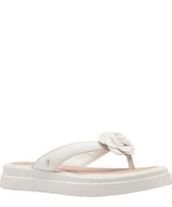 Threadary.shop1f42ba91c8 2