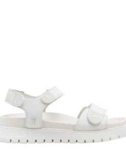 Threadary.shop2f45f9a6b9 1