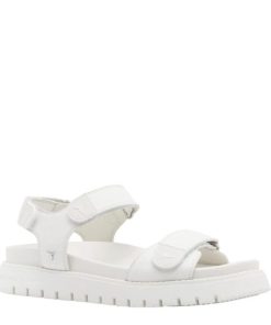 Threadary.shop2f45f9a6b9 2