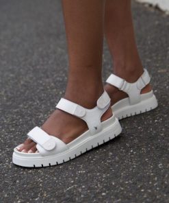 Threadary.shop2f45f9a6b9 4