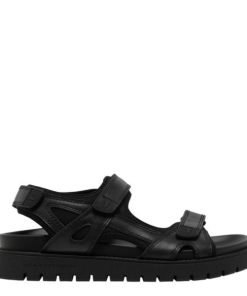 Threadary.shop492dd44e2e 1