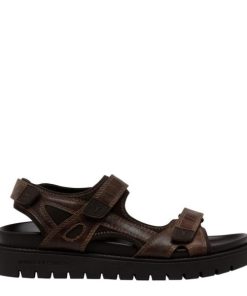 Threadary.shop59213d5f0d 1