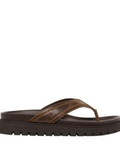 Threadary.shop61a76bde7c 1