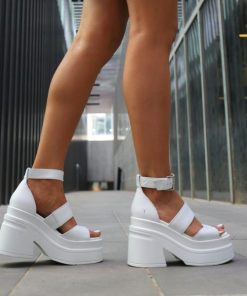 Threadary.shop75fa2c40ab 2