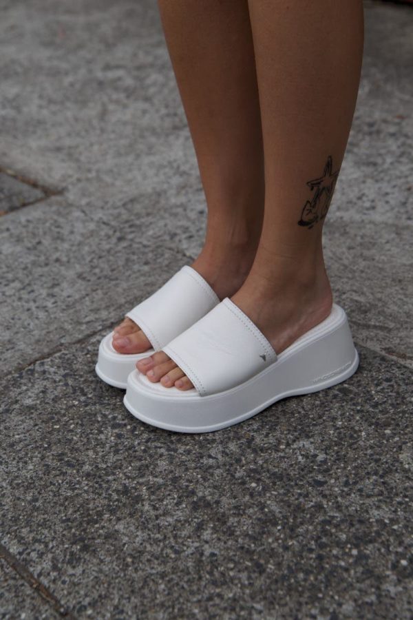 Threadary.shop81f2fce8ab 2