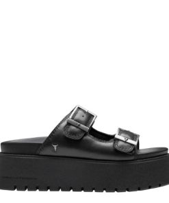 Threadary.shop8fcb03038d 1