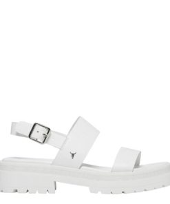 Threadary.shop9898699424 1