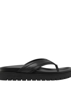 Threadary.shopd3d79e35af 1